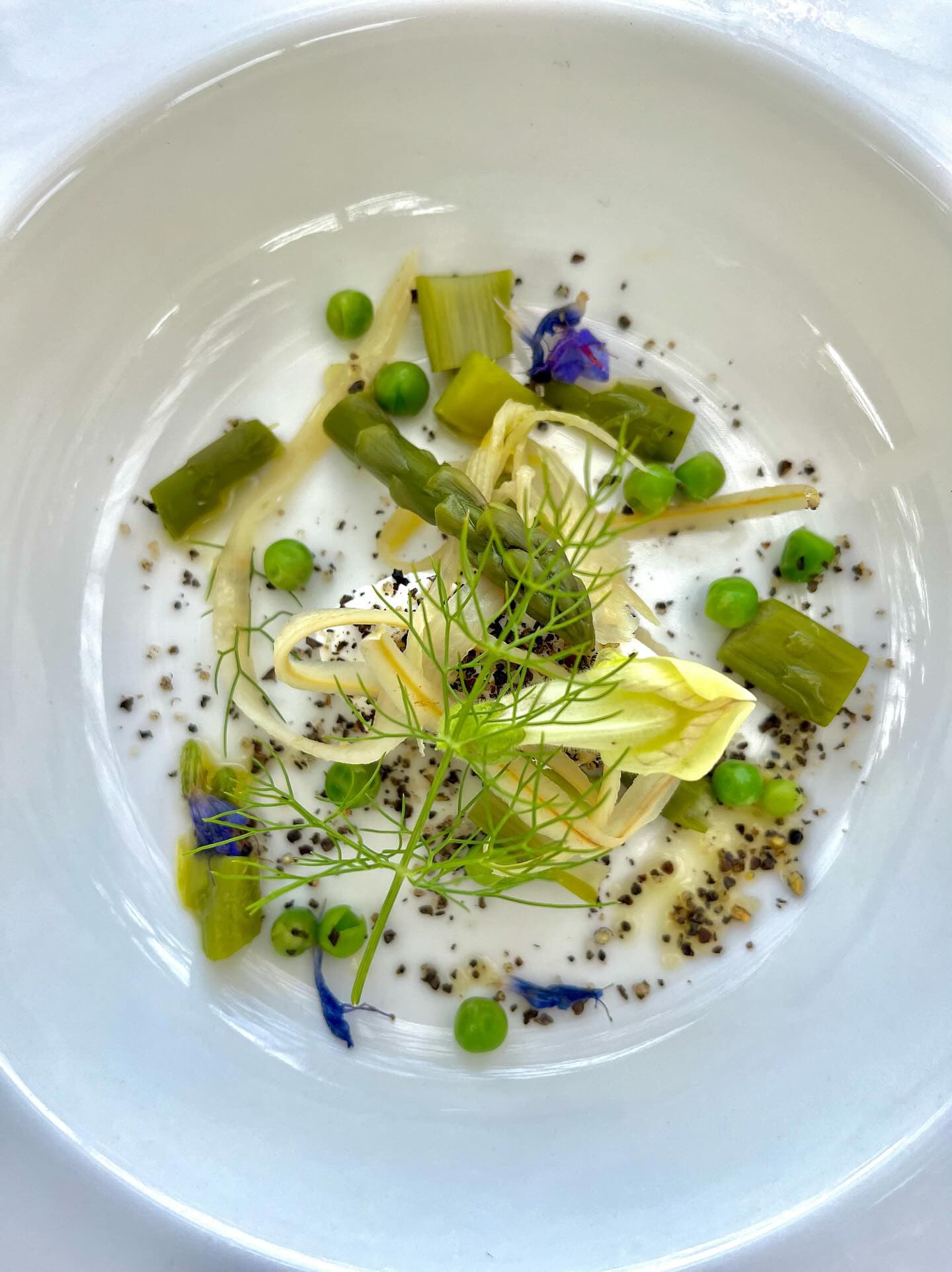 Plate of Food