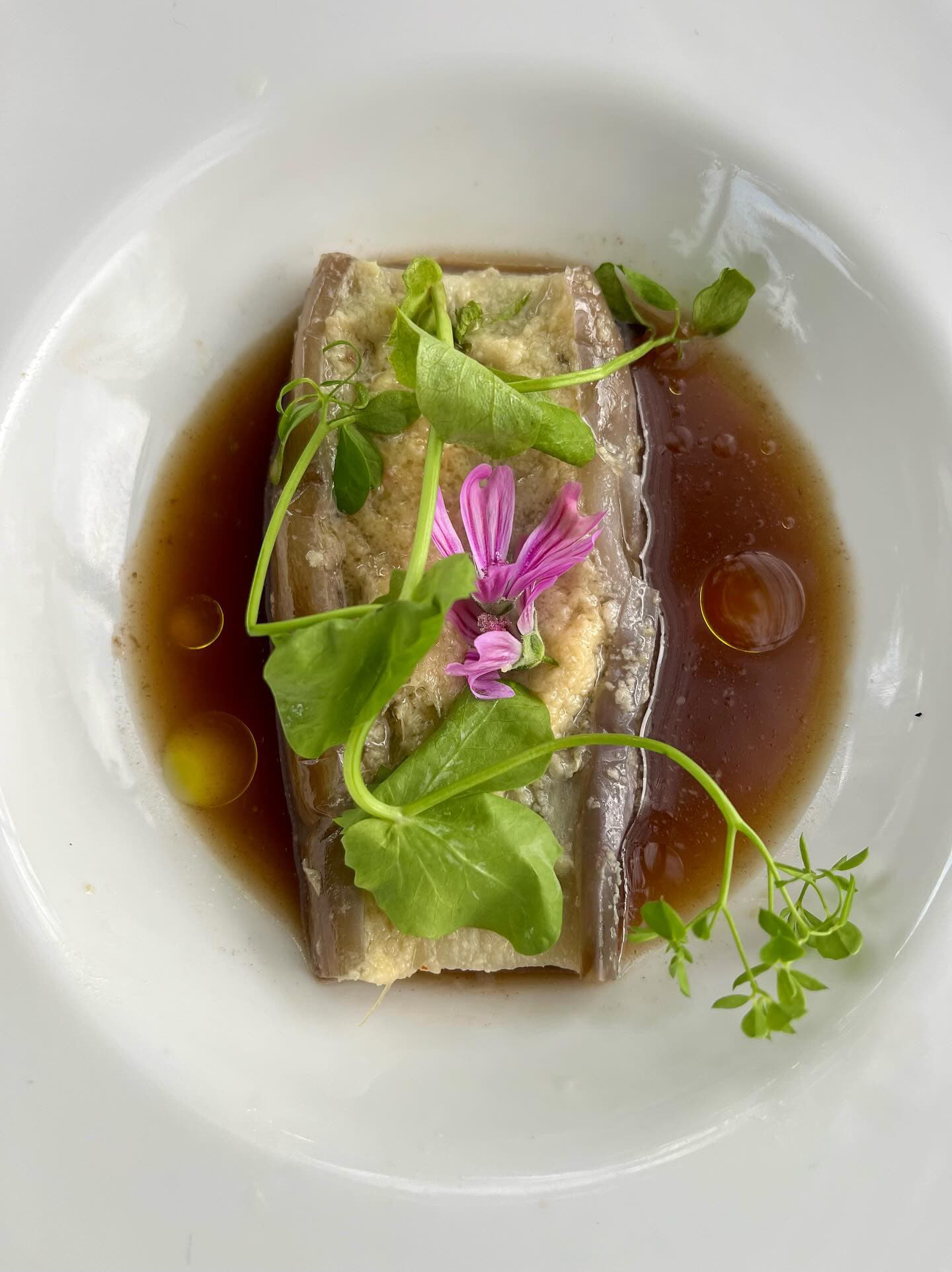 Plate of Food