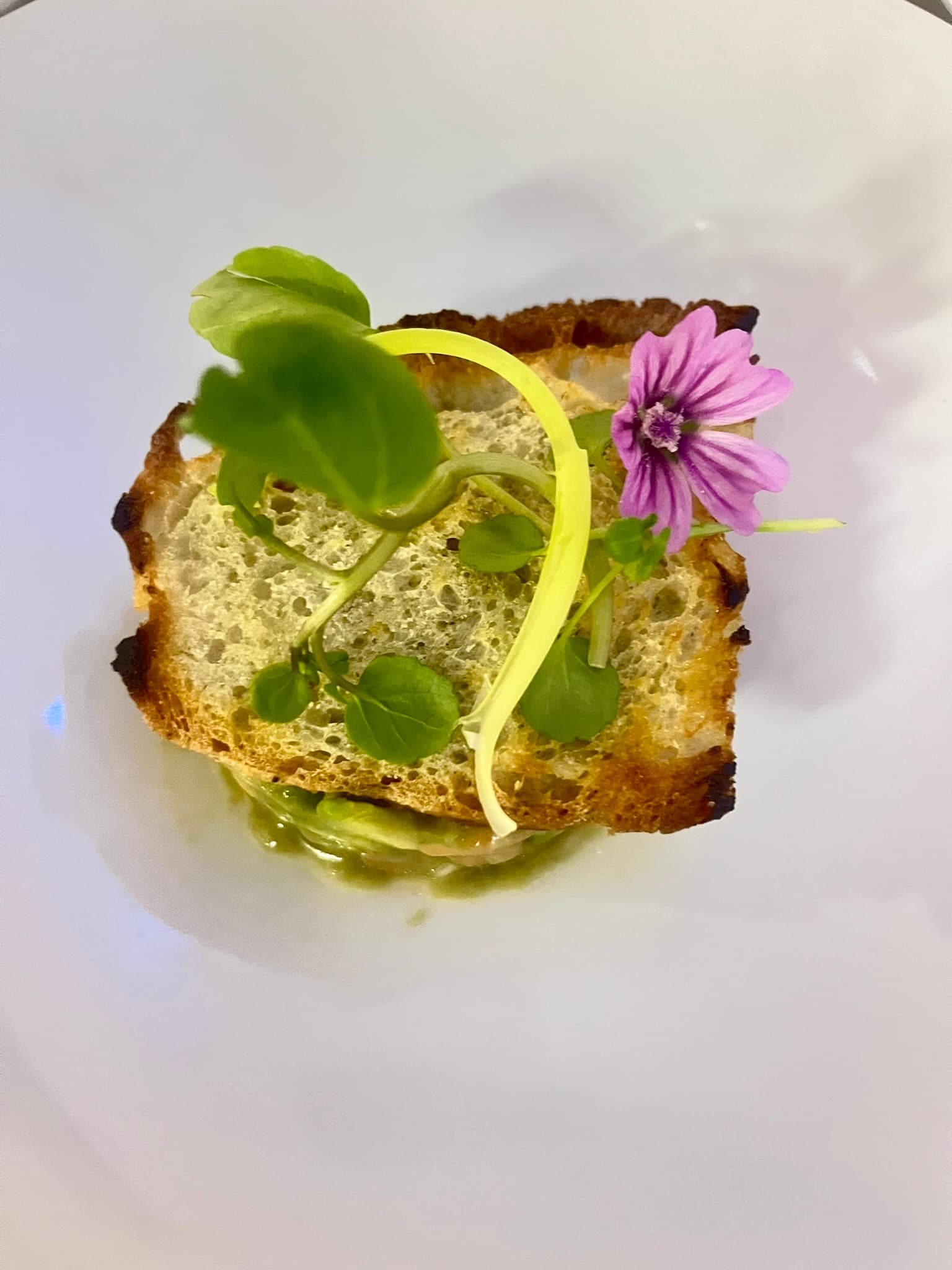 Plate of Food