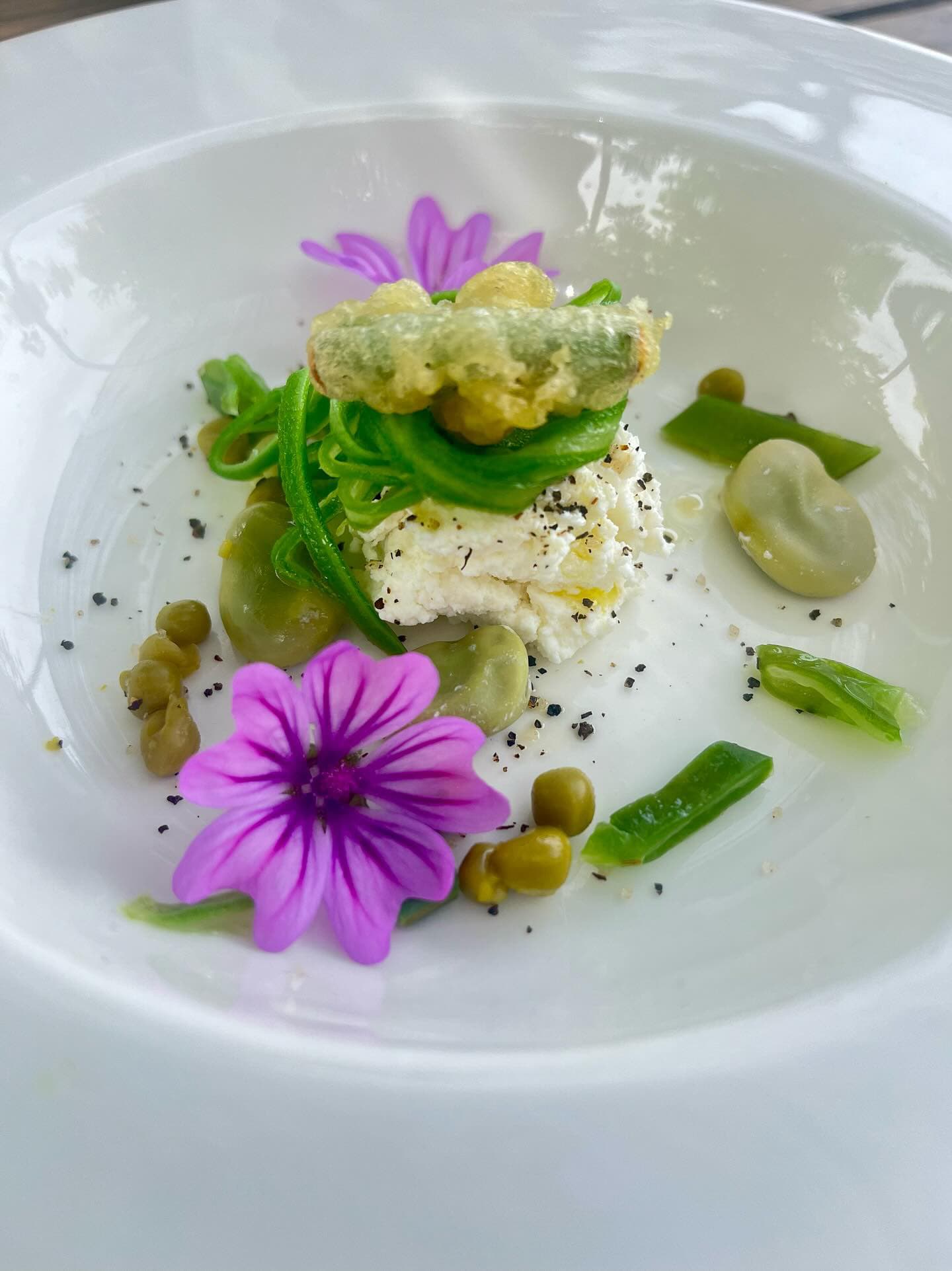 Plate of Food